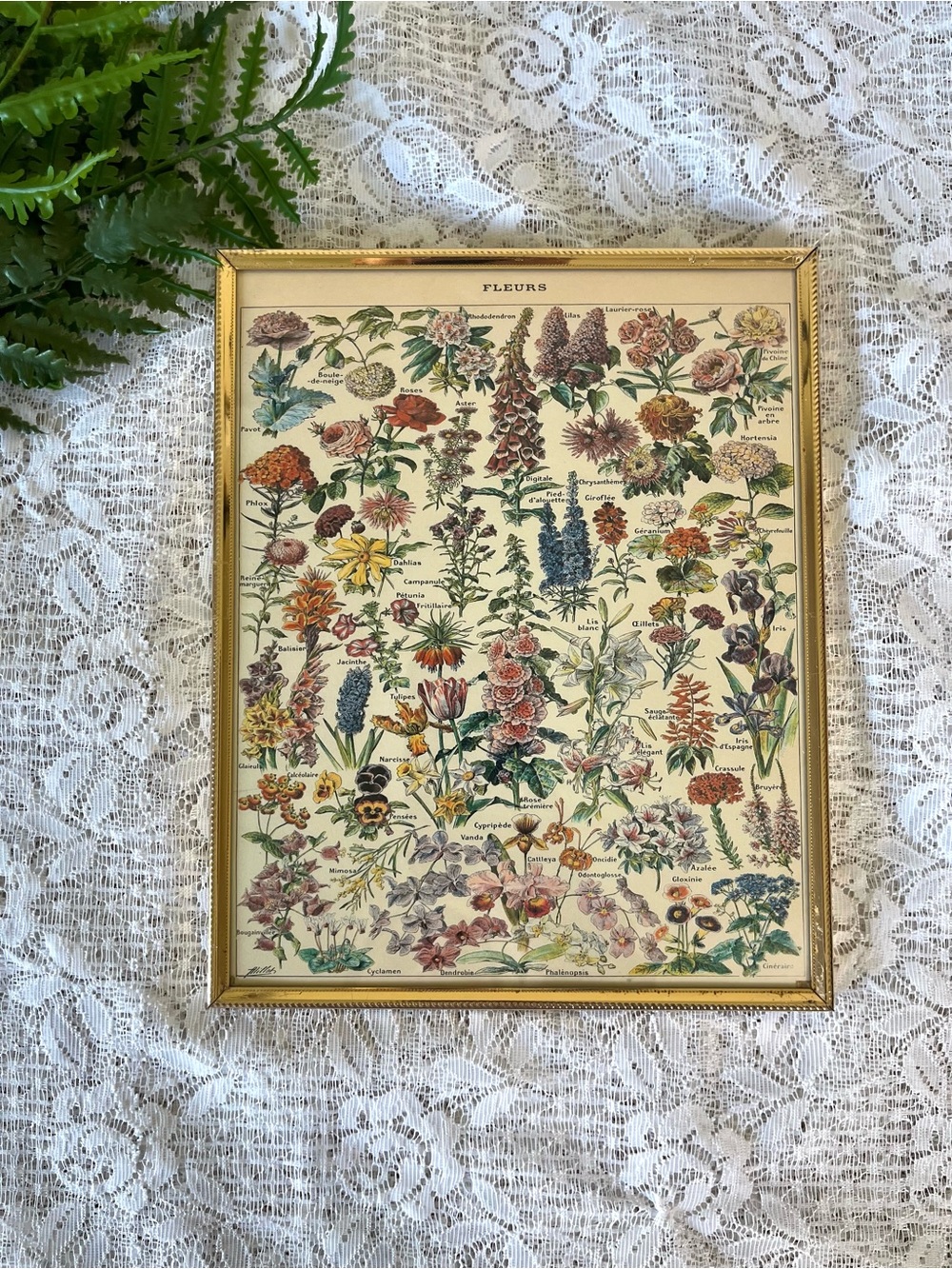 Vintage Gold Metal Framed Fleurs French Floral Chart 8x10